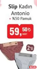 ANTONİO KADIN SLİP KÜLOT